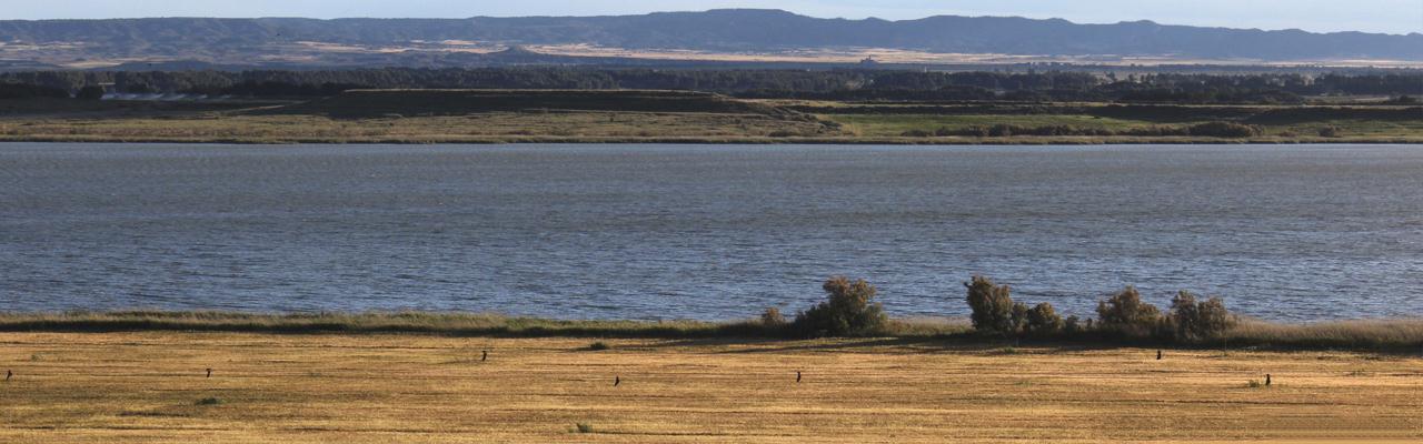 LAGUNA DE SARIÑENA | Foto:Turismo 